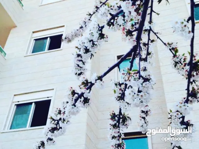 Furnished Monthly in Aley Saoufar
