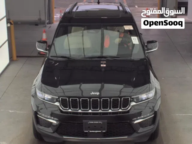 حمزه ملحيس