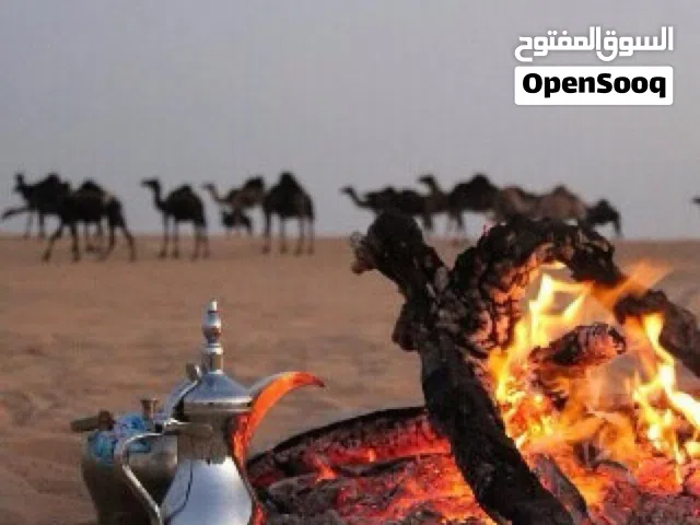 شنط عزب للقهوة والشاي للكشته و البر / ابوظبي