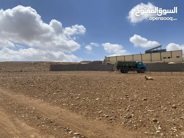 للبيع - الكرك - تلعة الخنزير (بالقرب من المستشفى الحكومي) داخل حدود بلدية الكرك