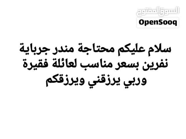 اريدة مستعجلة لعائلة