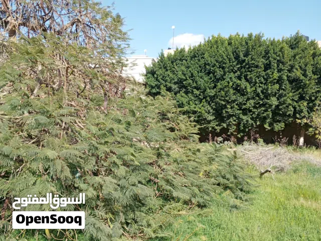 ارض للبيع في موقع ممتاز