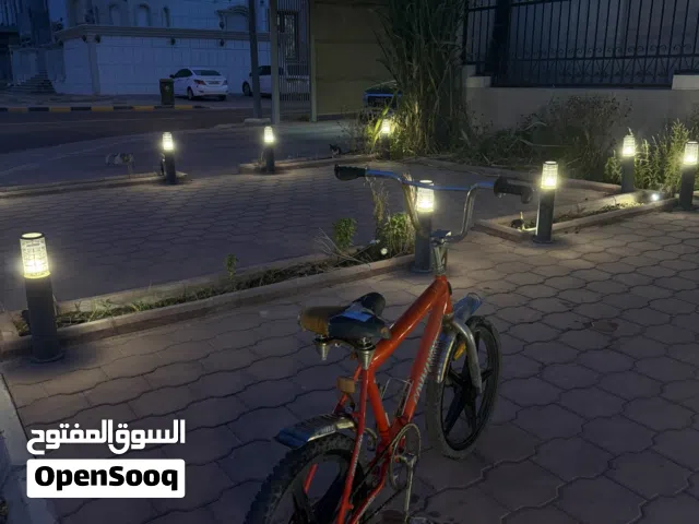 قاري مقاس 19