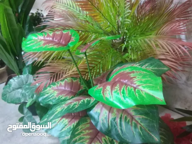 ورود ونبات صناعيه للبيع (زهور بيسان)
