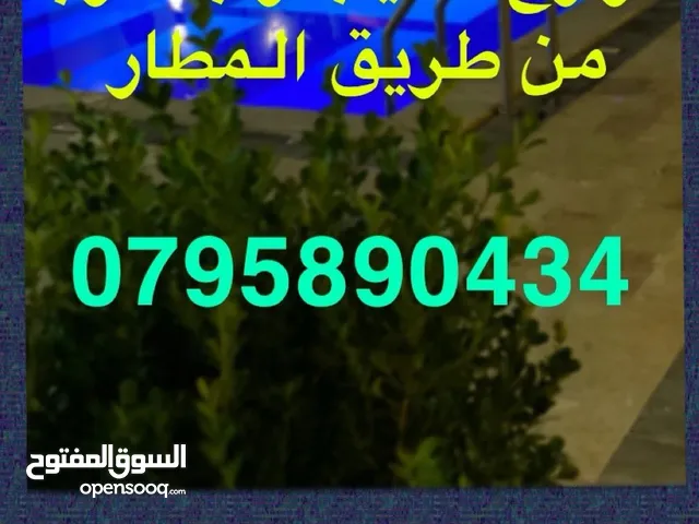 2 Bedrooms Chalet for Rent in Amman Al-Zaytouneh