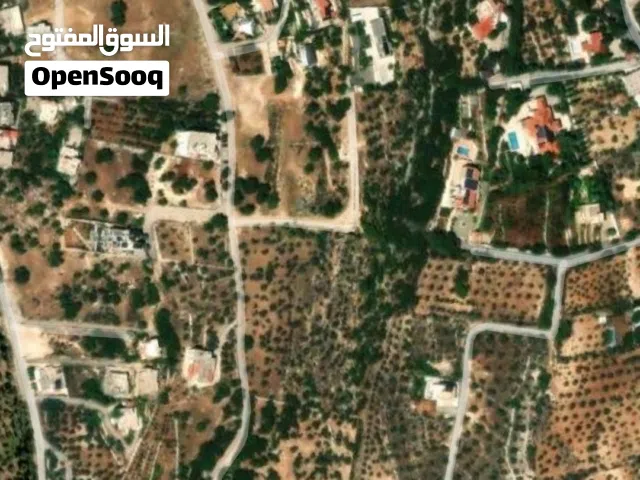 ارض مساحتها 14دونم بماحص جانب محميه الكباريتي وفلل غابه البلوط  سعر الدونم 140000