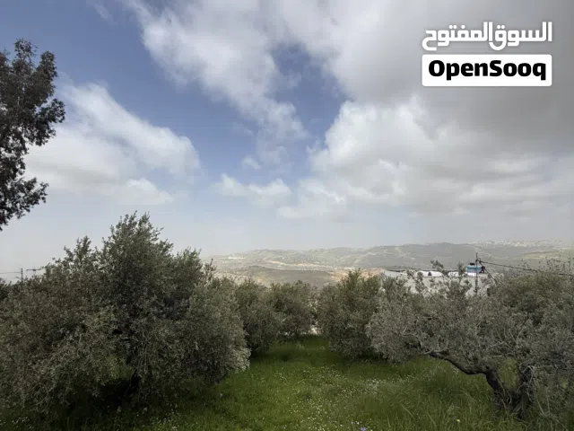 Residential Land for Sale in Salt Al Balqa'