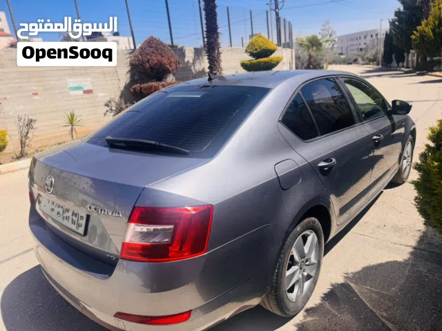 2013 سكودا اوكتافيا Elegance