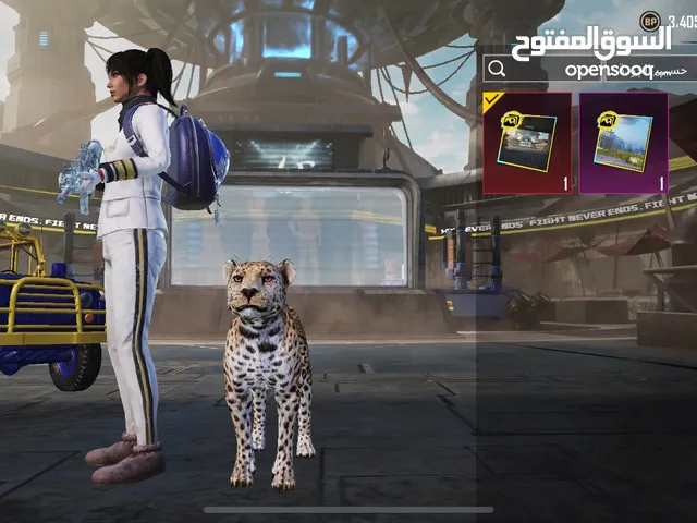 Pubg Accounts and Characters for Sale in Giza