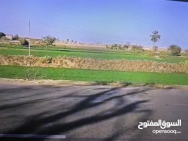 Mixed Use Land for Sale in Ismailia Tal al-Kebeer