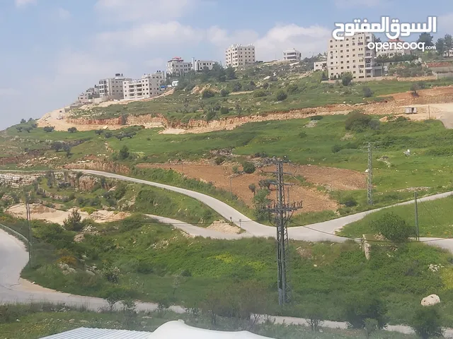 Residential Land for Sale in Ramallah and Al-Bireh Al Irsal St.
