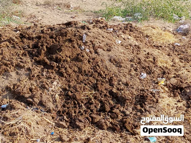 سماد القار نظيف