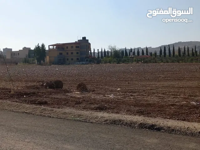 أربع دنومات للبيع طريق المطار خلف جامعة الزيتونة  حوض حضن السامك،.،.