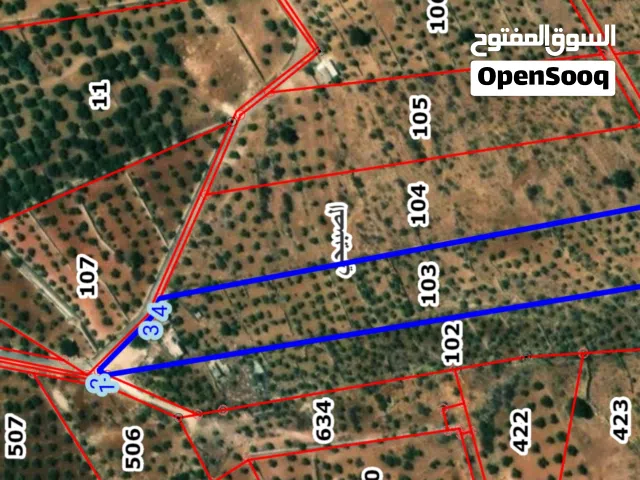 Farm Land for Sale in Salt Al Subeihi