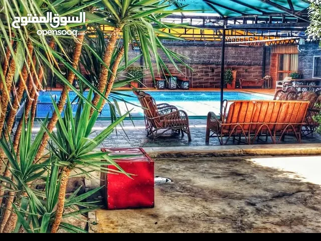 مزرعة بشار