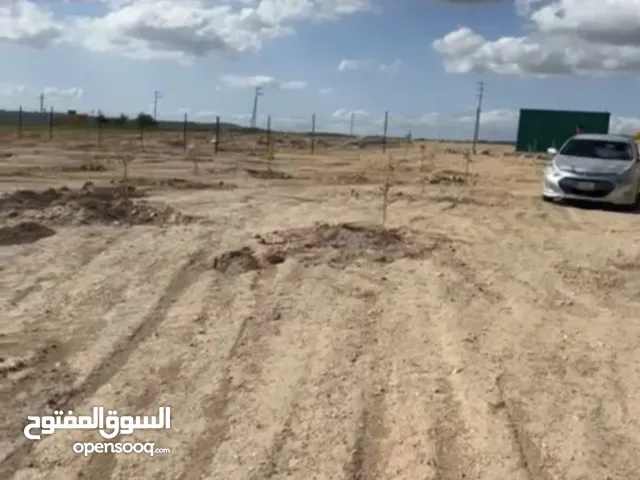 Farm Land for Sale in Irbid Sama Al-Rousan
