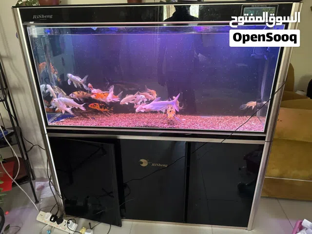 For sale Tank size 150,70,40 tank and fish canister Bd100