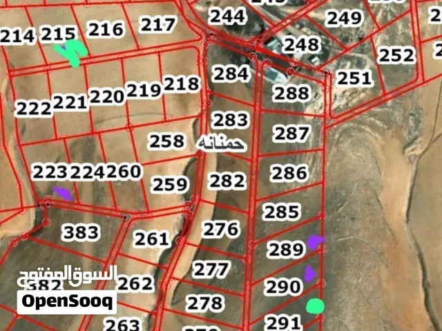 Farm Land for Sale in Mafraq Other