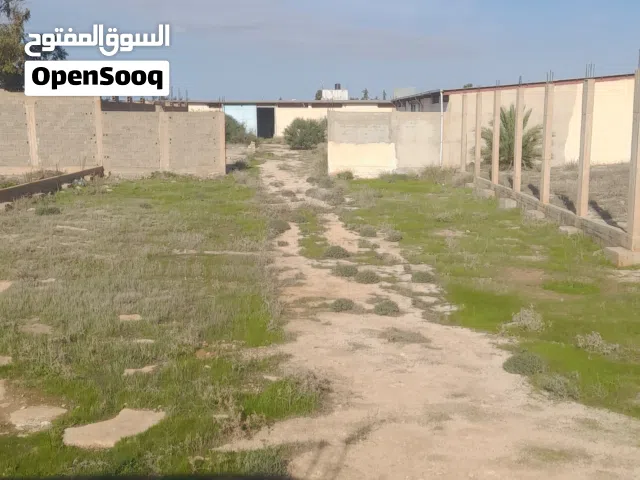 ارض للبيع في بوعطني شارع وكيل الهونداي