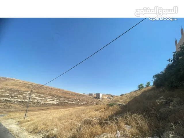 Mixed Use Land for Sale in Amman Shafa Badran