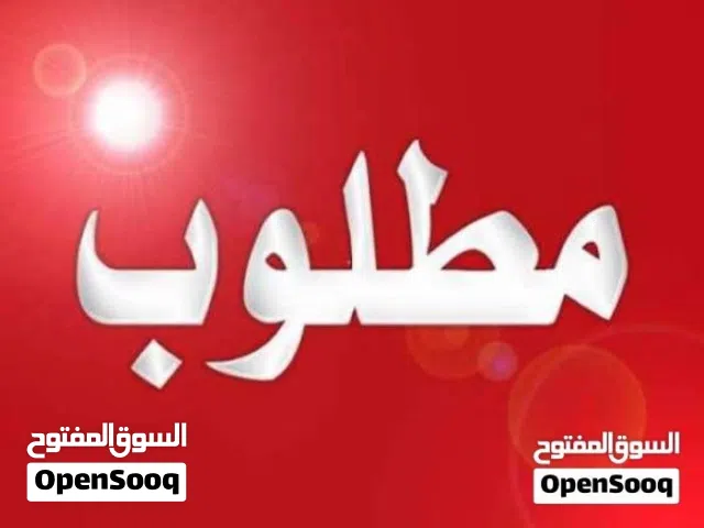 مطلوب أنثى كناري مصوقرة و جاهزة في مصراتة