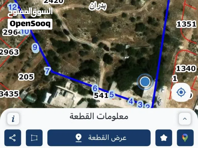دونم مشترك مع 4 اشخاص بسعر لقطة 67 الف