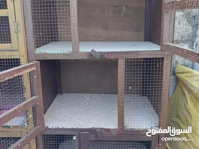 قنون خشب للبيع