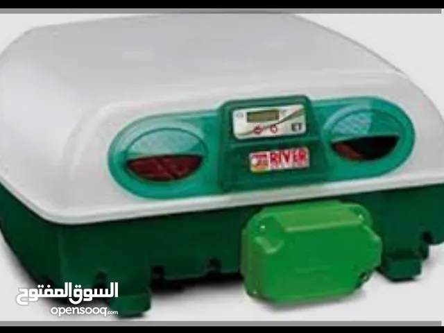 حضانة إيطالية