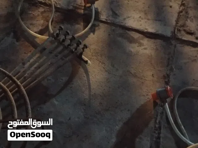 اجدوره طبخ البيع نوعيه درجه اوله الجدر الجبير ايشيل عجل