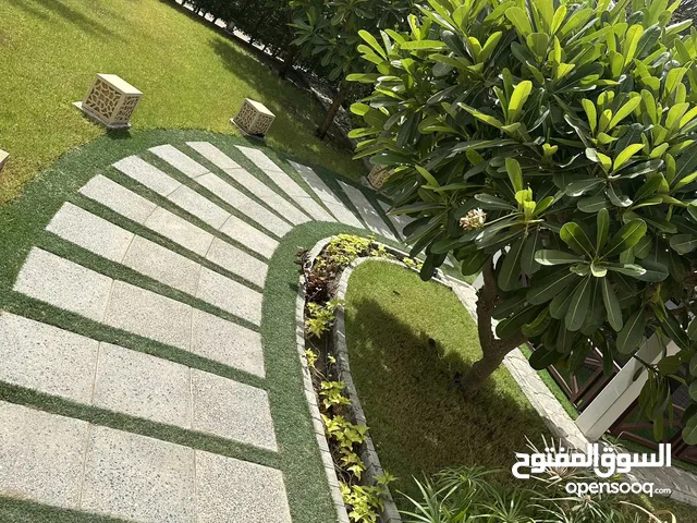 تنسيق الحدائق