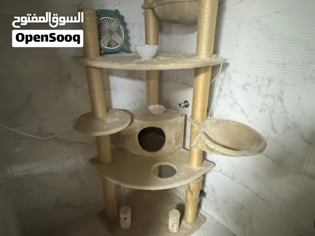 فيها ثلاث طوابق