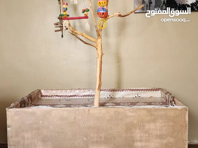 للبيع ستاند مخصص للطيور الكبيره + قفص كبير