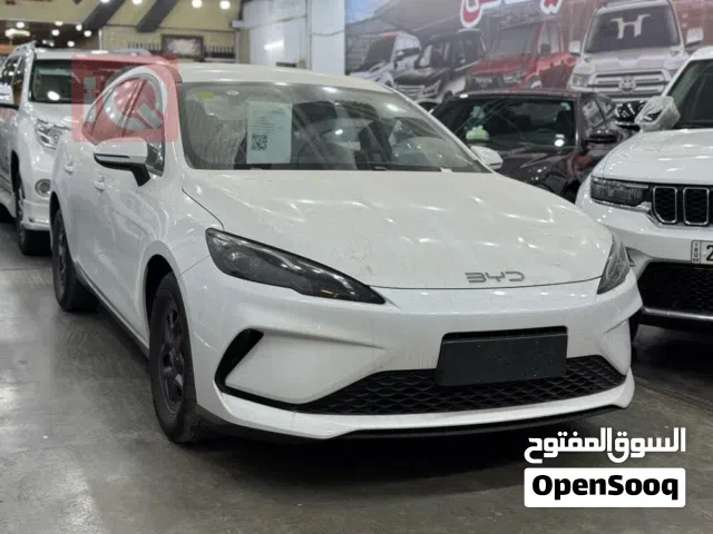 2025 بي واي دي سيل