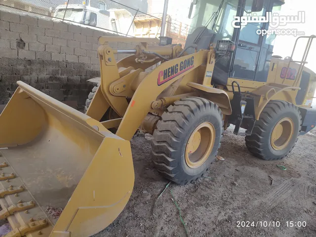 شيول صيني 2019