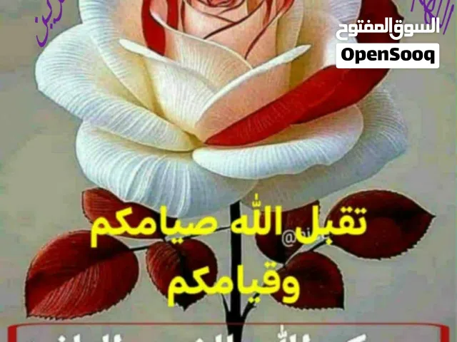 قطعة أرض توزيع الصحة بلبيبان مللك صرف طابو باسمي مباشر مساحة 250متر