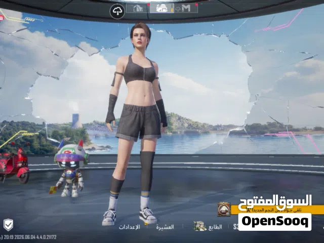 Pubg Accounts and Characters for Sale in Irbid