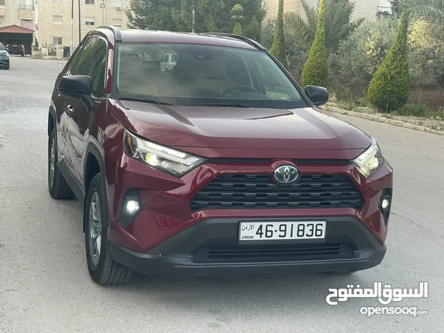 New Toyota RAV 4 in Irbid