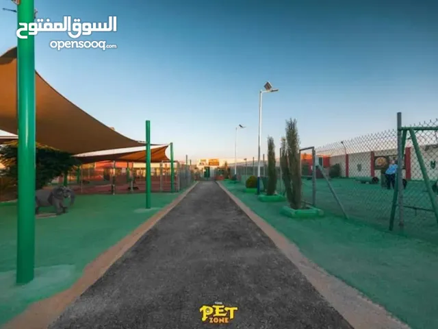 فندق للكلاب ورعايه الكلاب