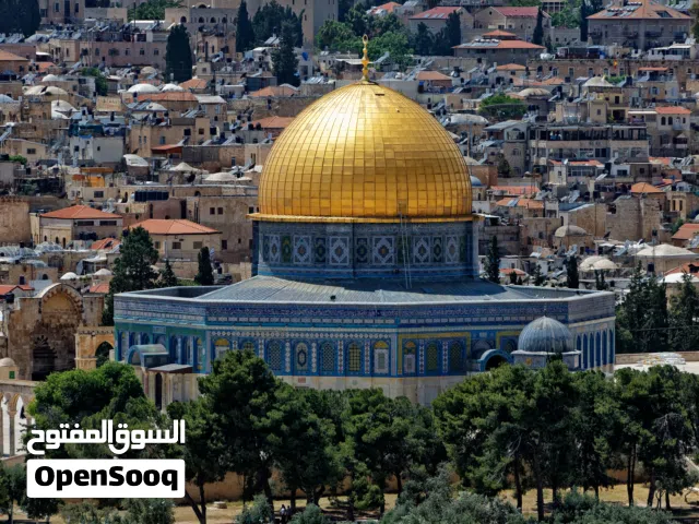 لوحات فنية حسب الطلب