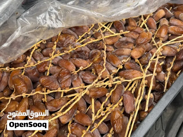 تمر دقله ربي يبارك