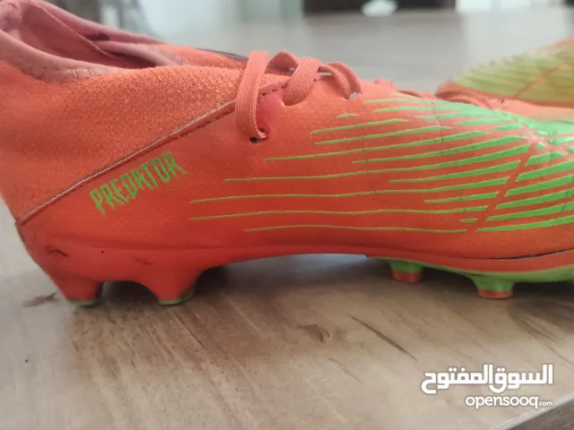 36.5 Sport Shoes in Ajman