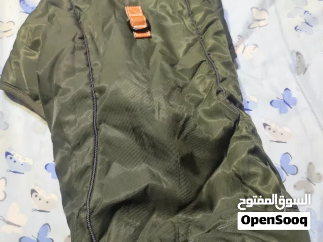 معطف الشتاء للكلاب