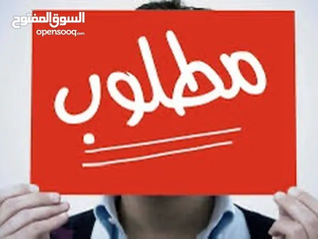 مطلوب جرو جيرمن شبرد اقرأ الوصف