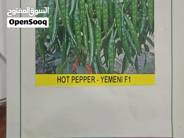 بذور و مبيدات واسمده وشتلات  زراعية.