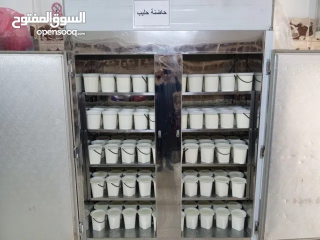 معمل ومعرض البان واجبان للبيع لدواعي صحية! حاصل على  جميع التراخيص، صحة، غذاء ودواء، بلدية.