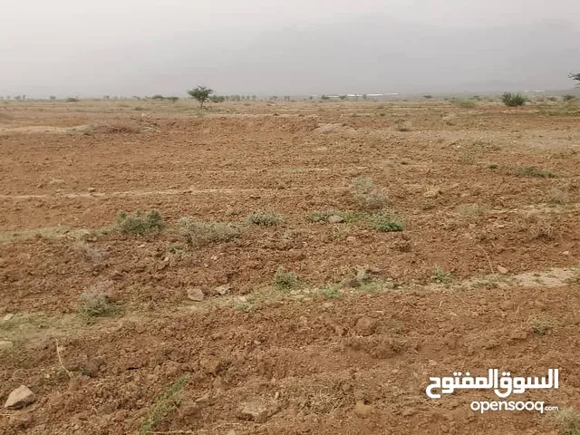 1 Bedroom Farms for Sale in Raymah Other