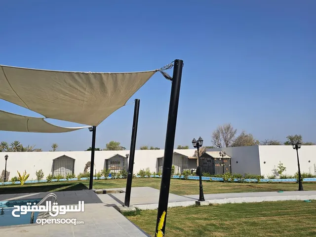 3 Bedrooms Farms for Sale in Al Batinah Al Masnaah