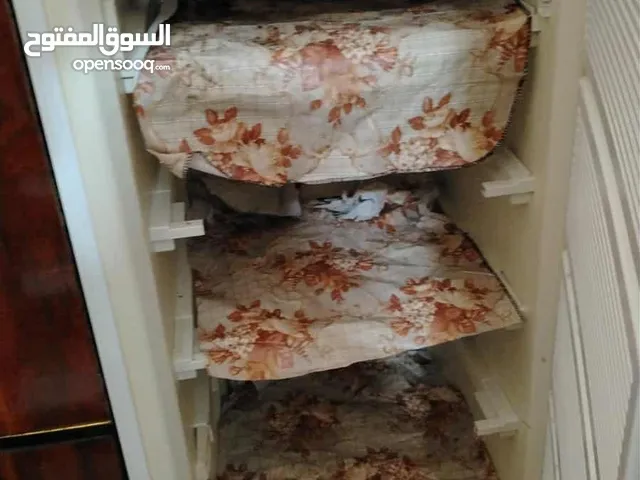 Fulgor Freezers in Zarqa