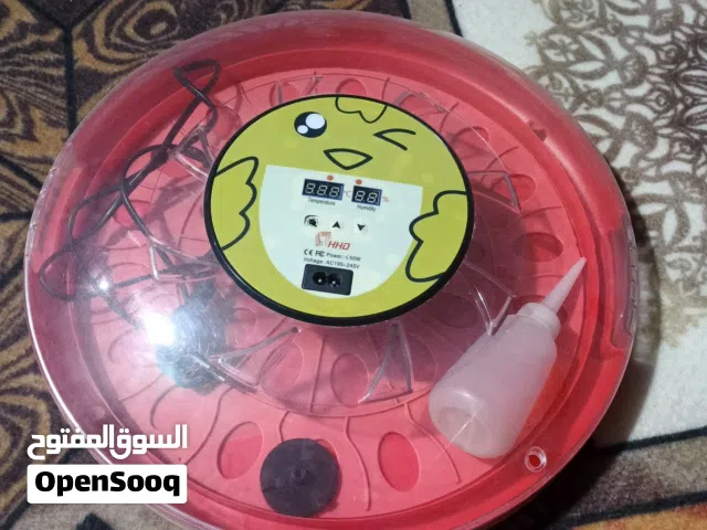 فقاسة فول اوتوماتيك للبيع