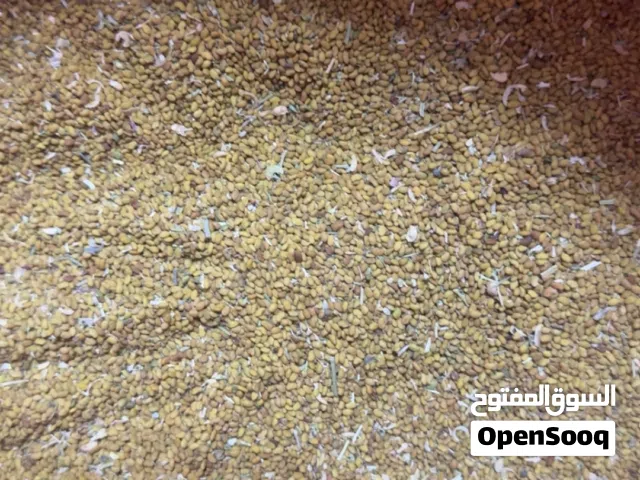 بذر قت عماني